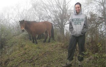 Vanessa Hull with horses